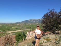 View from Laguardia, Rioja