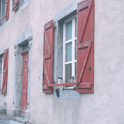cats in the windows - Vignec, France